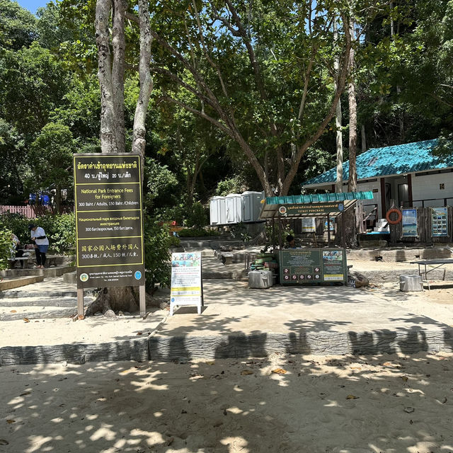 เกาะทะลุ🌴 ดำน้ำดูปะการัง