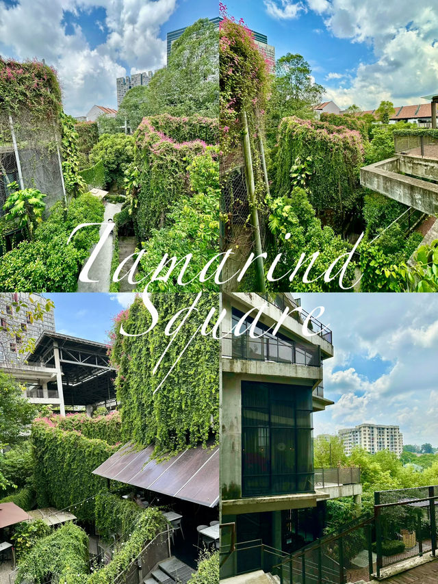 🌿 Tamarind Square – Where the City Learns to Breathe