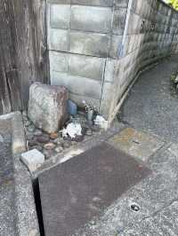 新幹線上就能看見的大島神社 連立鳥居