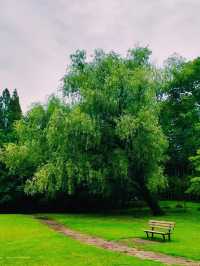 上海共青森林公園🇨🇳