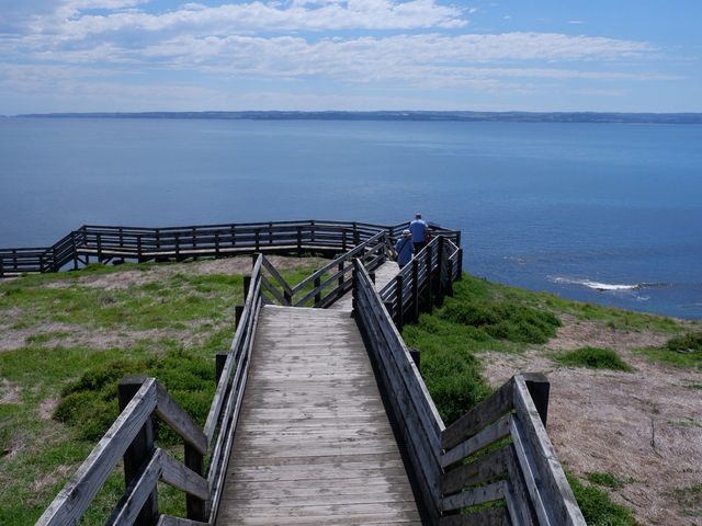 🐾 รีวิว: The Nobbies – จุดชมวิวและธรรมชาติ