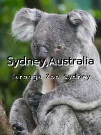 Sydney, Australia.