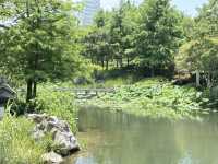  上海世博文化公園「申園」：都市中的江南園林瑰寶