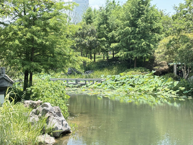  上海世博文化公園「申園」：都市中的江南園林瑰寶