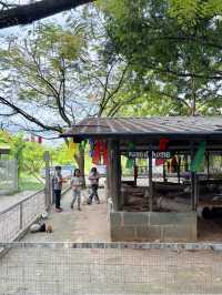 ฟาร์มควาย & mini zoo ที่ฉะเชิงเทรา