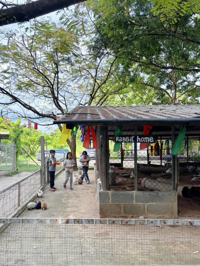 ฟาร์มควาย & mini zoo ที่ฉะเชิงเทรา
