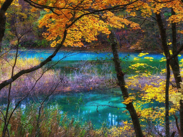 🍁✨ Goshikinuma – The Five Colored Ponds, Urabandai, Fukushima ✨🌿