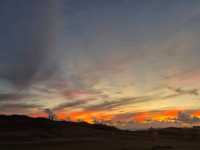 수영못함 미야코지마