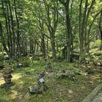 Halla Arboretum, Jeju Island,S.Korea