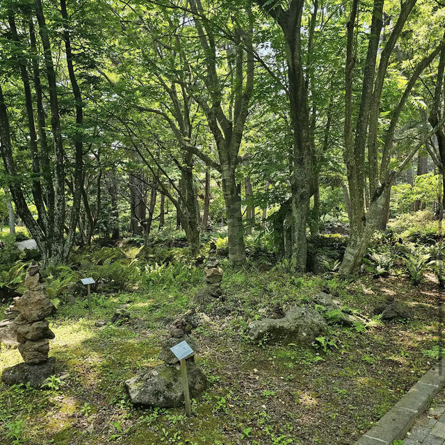 Halla Arboretum, Jeju Island,S.Korea