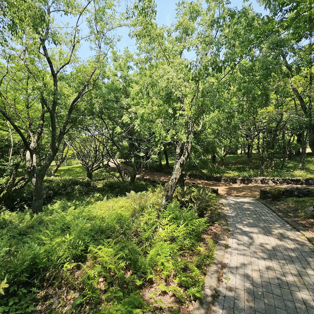 Halla Arboretum, Jeju Island,S.Korea