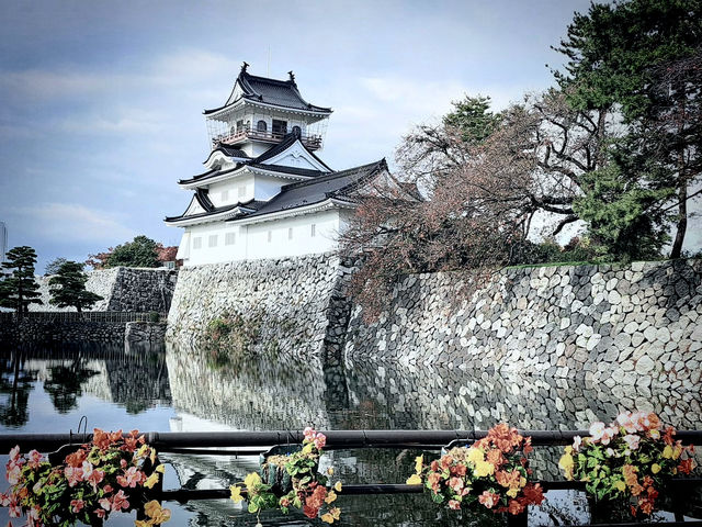 The Glass Castle: My Return to Toyama Castle