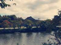 The Samurai's Country Seat: My Solo Visit to Sasayama Castle, Hyōgo