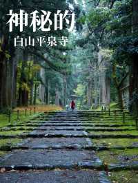 神秘的な参道 杉と石畳を覆う苔に魅了されます。