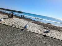 Sun, Sand, and Serenity: A Perfect Day at Cottesloe Beach