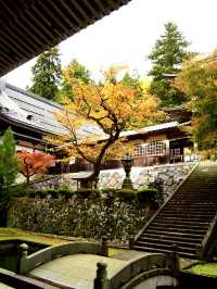 山門と仏殿の間の門 紅葉と門の美しさに写真を撮る人が多い