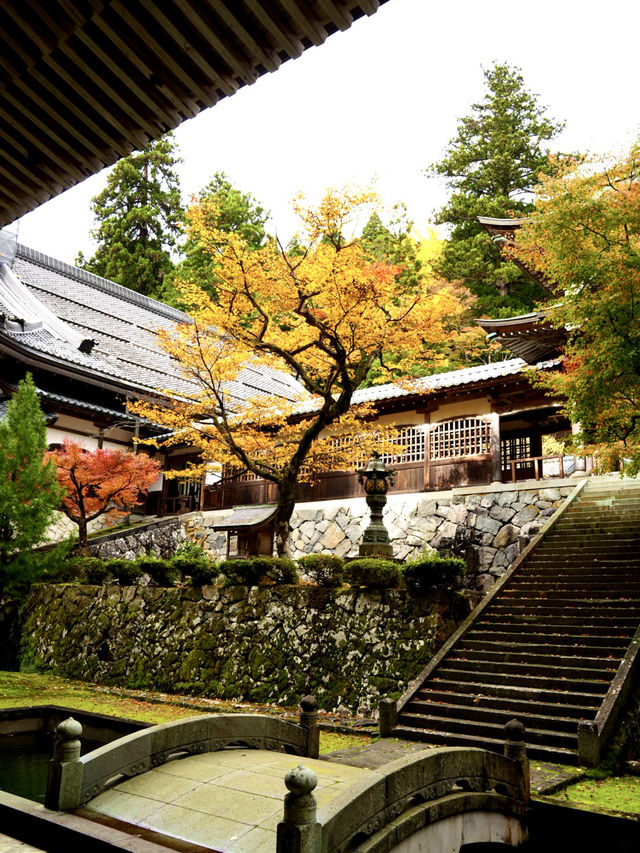 山門と仏殿の間の門 紅葉と門の美しさに写真を撮る人が多い 山門と仏殿の間の門 紅葉と門の美しさに写真を撮る人が多い