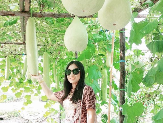 งานเมล็ดพันธุ์ บริษัทศรแดง