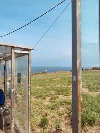 Korea's Rare Gem: The Coral Sand Miracle