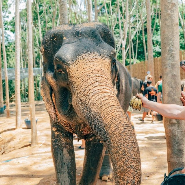 🏖️ Phuket 3–4 Day Itinerary: Beaches, Old Town & Island Adventures