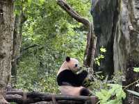 Side trip from Chengdu