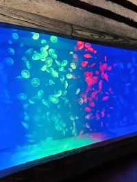 📸 แจกพิกัดถ่ายรูปสุดปังใน Huaxia Xi’an Resort