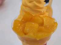 필리핀 보홀 여행