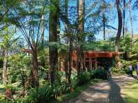 Orchid Forest Cikole, Bandung