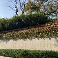 🌿  Laoshan Taiqing Palace – A Seaside Taoist Wonderland