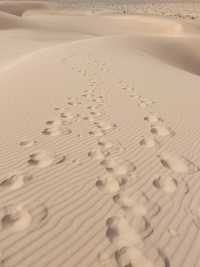 Khongoryn Els - Stunning and Unforgettable