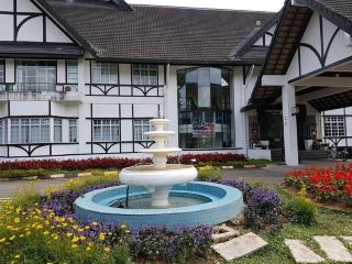 카메론 하이랜드에서의 3일 2박: 자연, 먹거리 & 도시 라이프 분위기