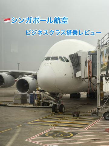 🇸🇬✨ シンガポール航空 SQ231便 ビジネスクラス搭乗レビュー | Trip