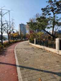 ⭐서울 올림픽공원 하루 코스 – 거대한 엄지상 구경하고, 가을 댑싸리 걷고, 청와옥에서 마무리!