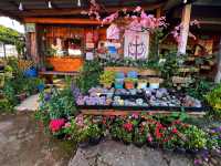 บ้านพักโปโป&ปิงปิง โฮมสเตย์ ขุนวาง