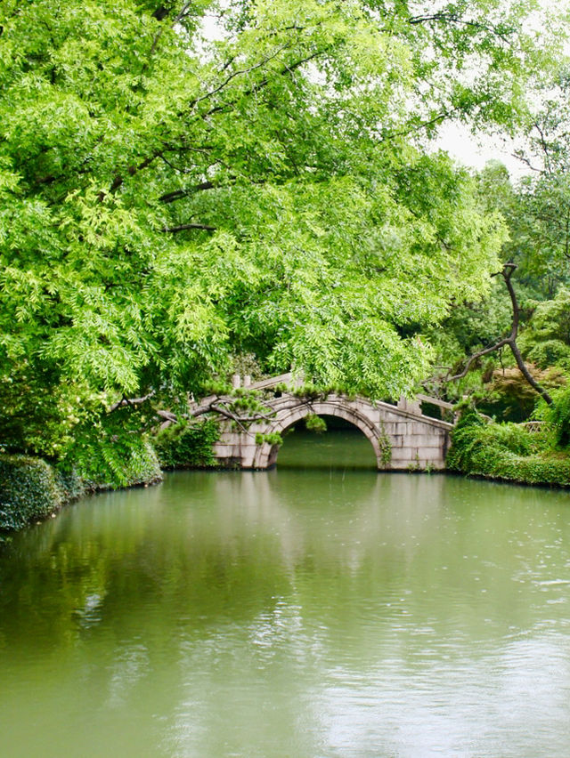 Shanghai: Zuibaichi Park Views🌿🪷 Shanghai: Zuibaichi Park Views🌿🪷