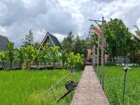 คาเฟ่บรรยากาศท้องทุ่ง @ ภูเขียว