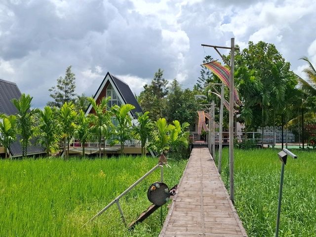 คาเฟ่บรรยากาศท้องทุ่ง @ ภูเขียว