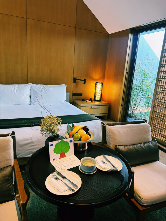 도심의 소음이 완전히 사라지는 순간, 상하이 아만양윤 호캉스 도심의 소음이 완전히 사라지는 순간, 상하이 아만양윤 호캉스