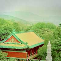 Temple Trail Magic ✨