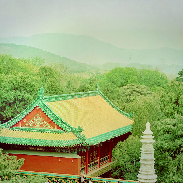 Temple Trail Magic ✨ Temple Trail Magic ✨