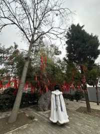 Xi'an Ancient Walk🏯