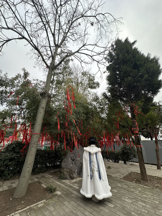 Xi'an Ancient Walk🏯