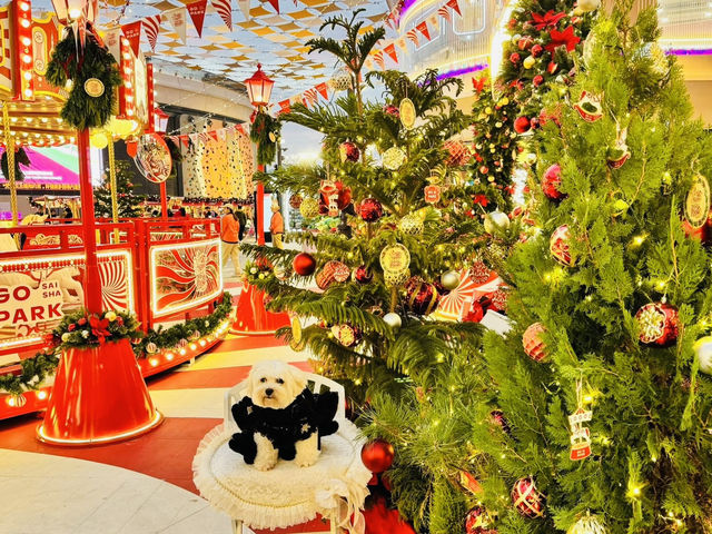 A Curated Season of Borrowed Light At Go Park Sai Sha A Curated Season of Borrowed Light At Go Park Sai Sha