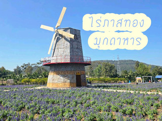 ไร่ภาสทอง มุกดาหาร