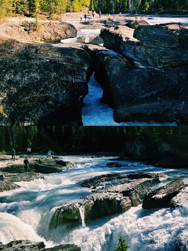 💦 타카카우 폭포 후기 | 가까이 갈수록 커지는 장면
