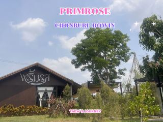 Primrose, Chonburi, Bowin