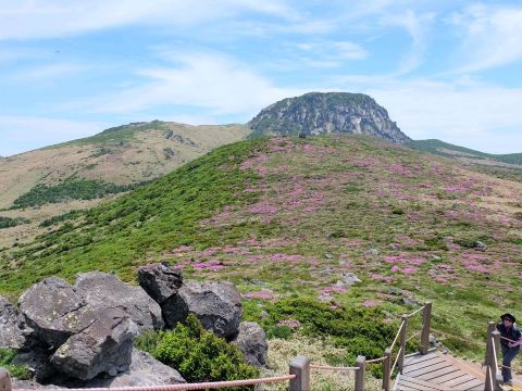 Hallasan - South Korea's No. 1 Dormant Volcano. | Trip.com Jeju Island