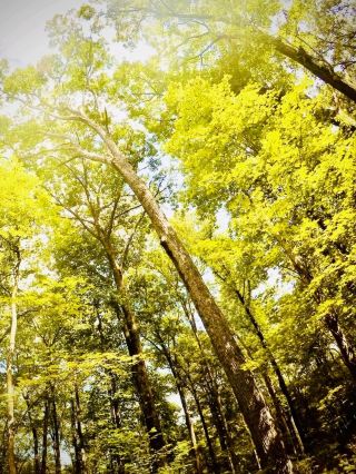薩巴蘭火山口湖和蘇丹皮爾薩爾苔蘚邊緣：阿爾達比勒海拔4811米的火山 #Sab