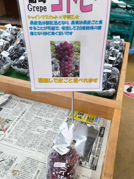 ラスト写真2本おまとめ❗山形屋　産直フルーツと天然山菜直販様　新品未使用 山形・上山】新鮮野菜と絶品完熟フルーツの宝庫！絶対に立ち寄るべき超