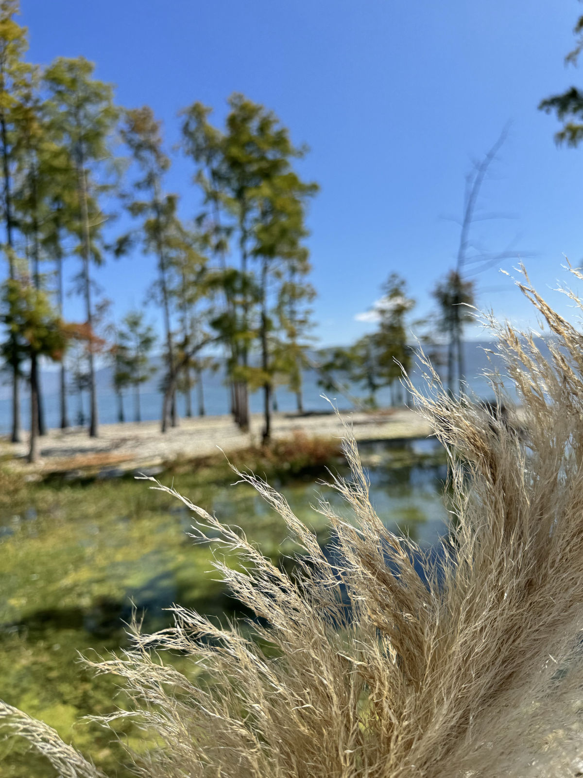 大理洱海与远处的苍山